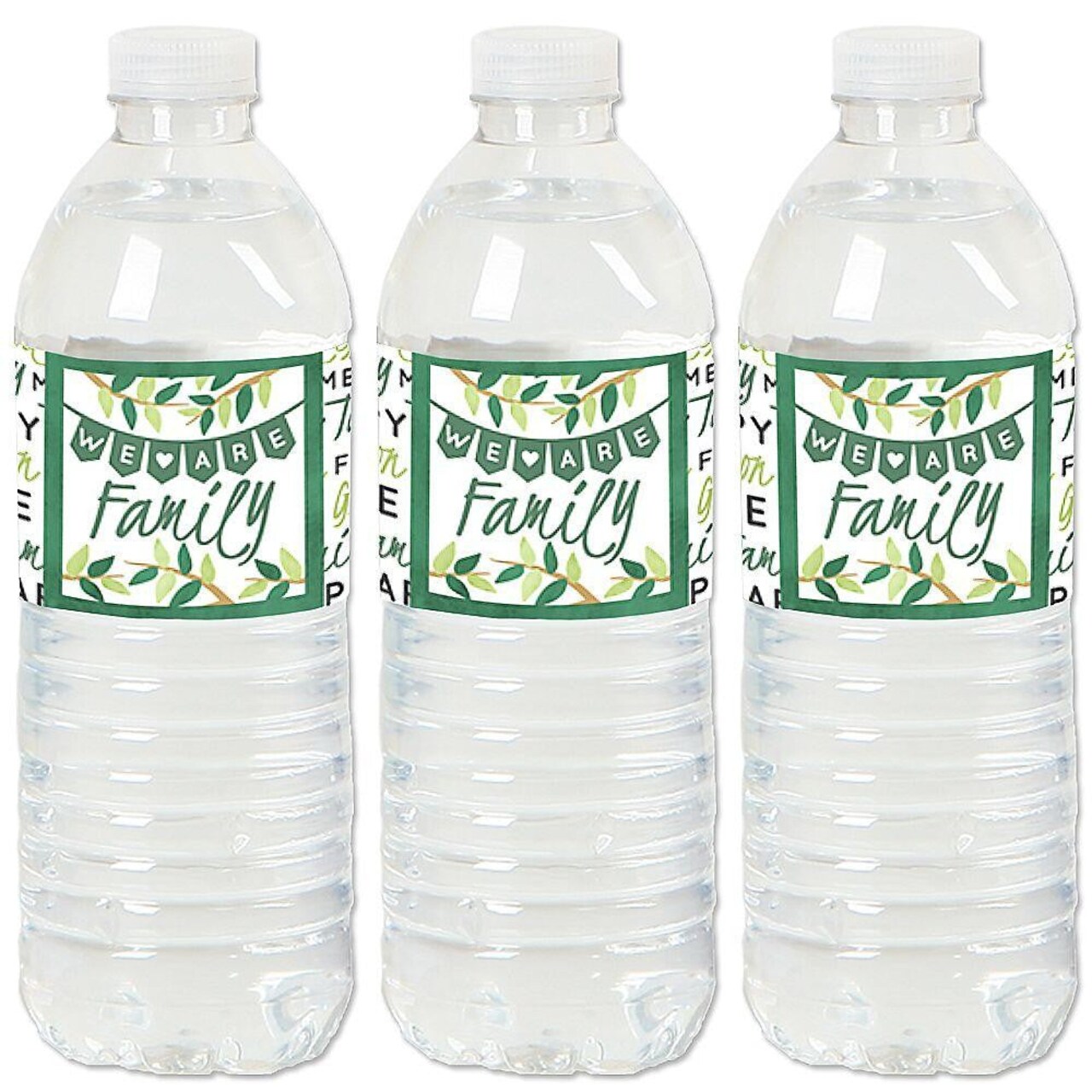 Big Dot of Happiness Family Tree Reunion - Family Gathering Party Water Bottle Sticker Labels - Set of 20